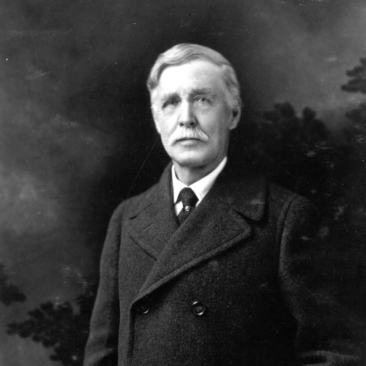 Portrait of William Henry Jackson