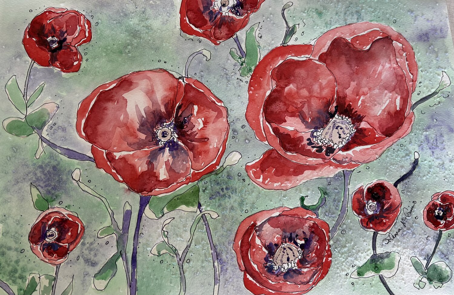 Georgetown Poppies