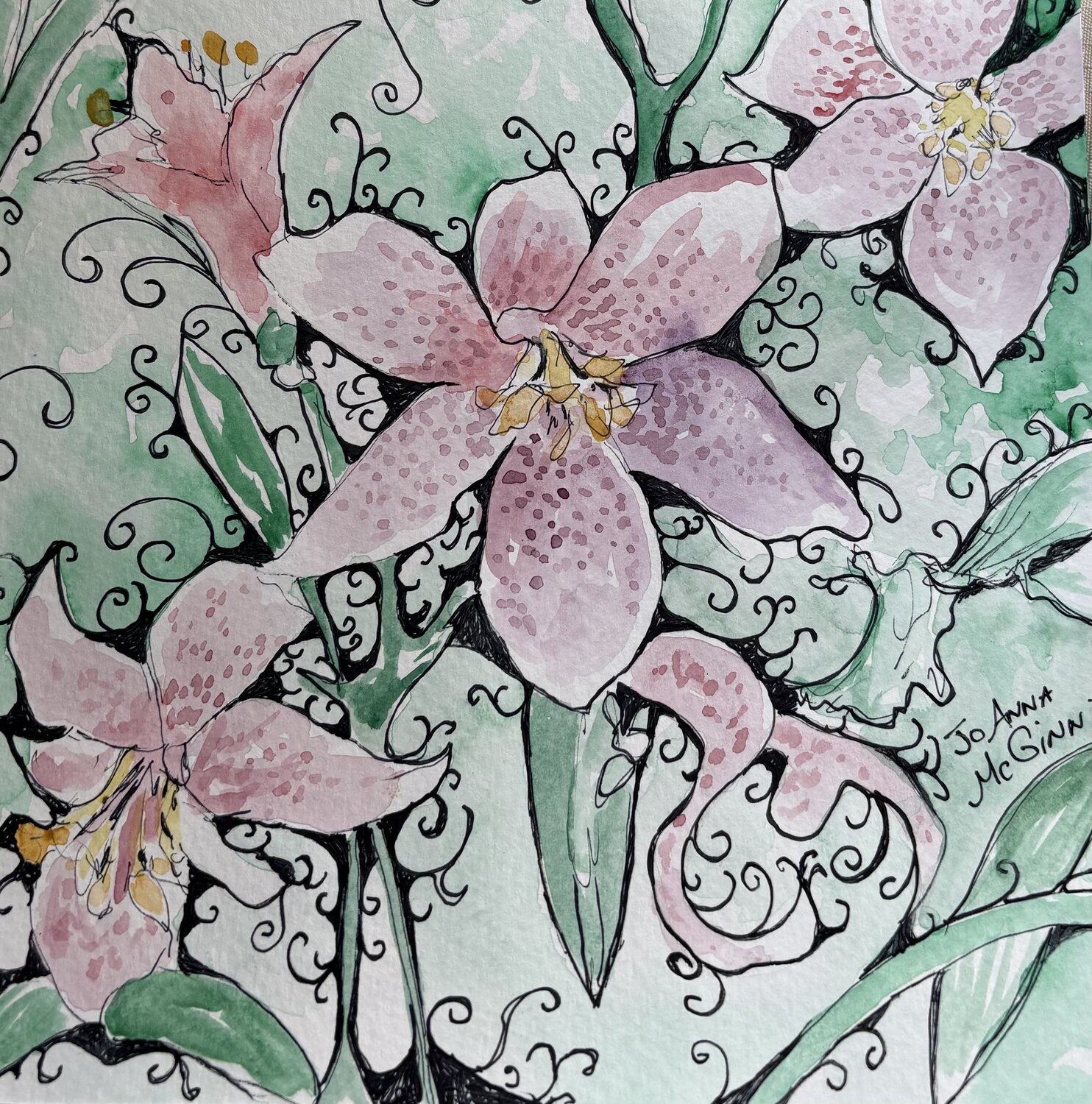 Oriental Lillies