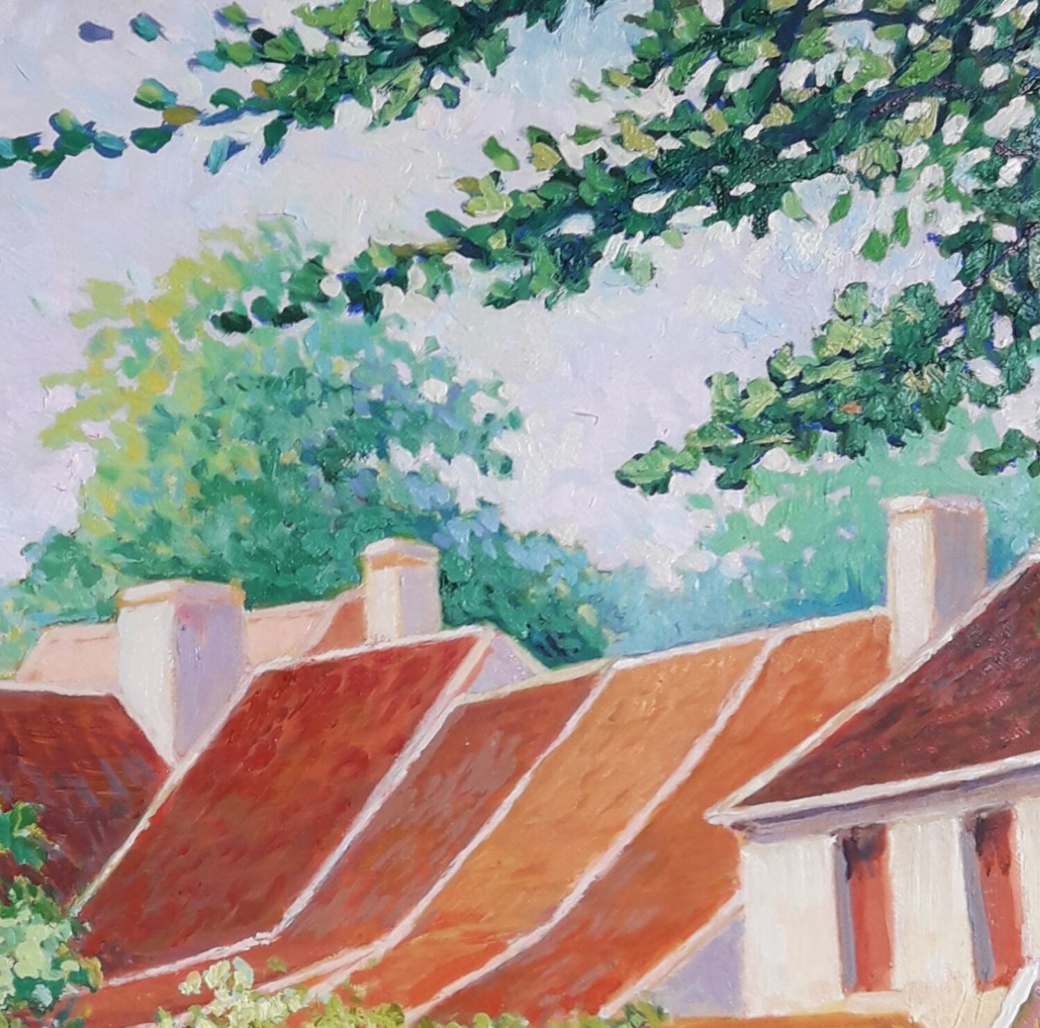 Maisons au bord de l'eau à Troyes, Champagne - vista 3 de 4