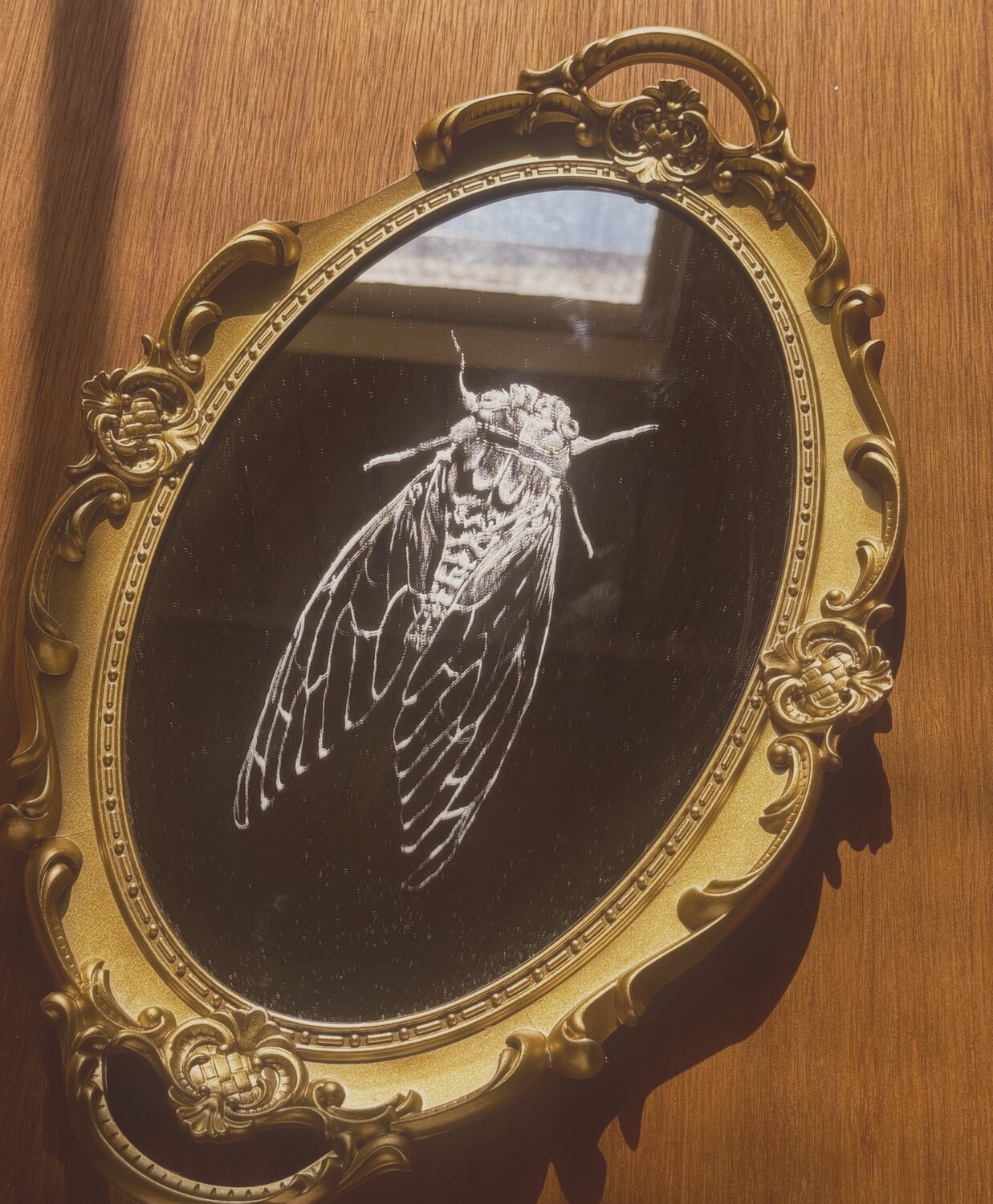 Cicada mirror - view 1 of 2