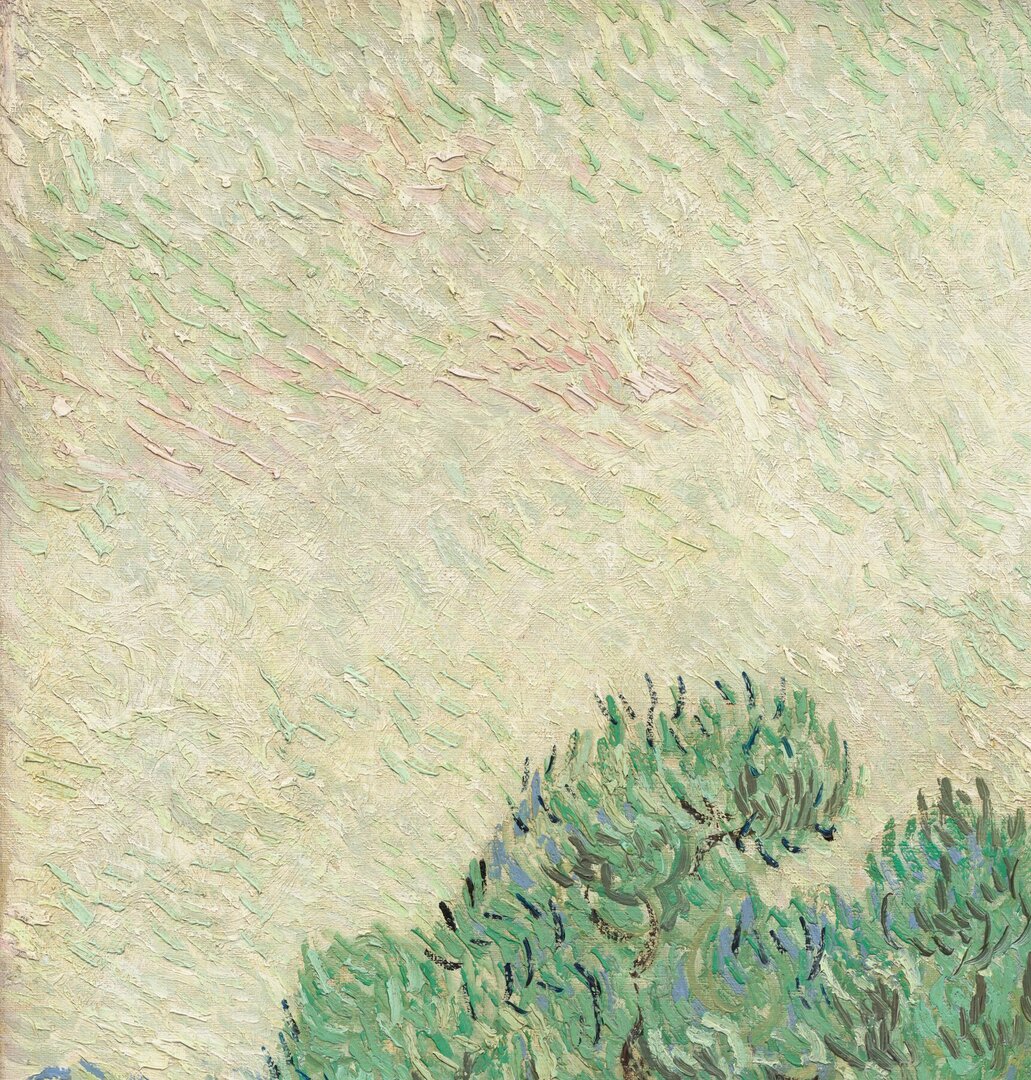 The Olive Orchard