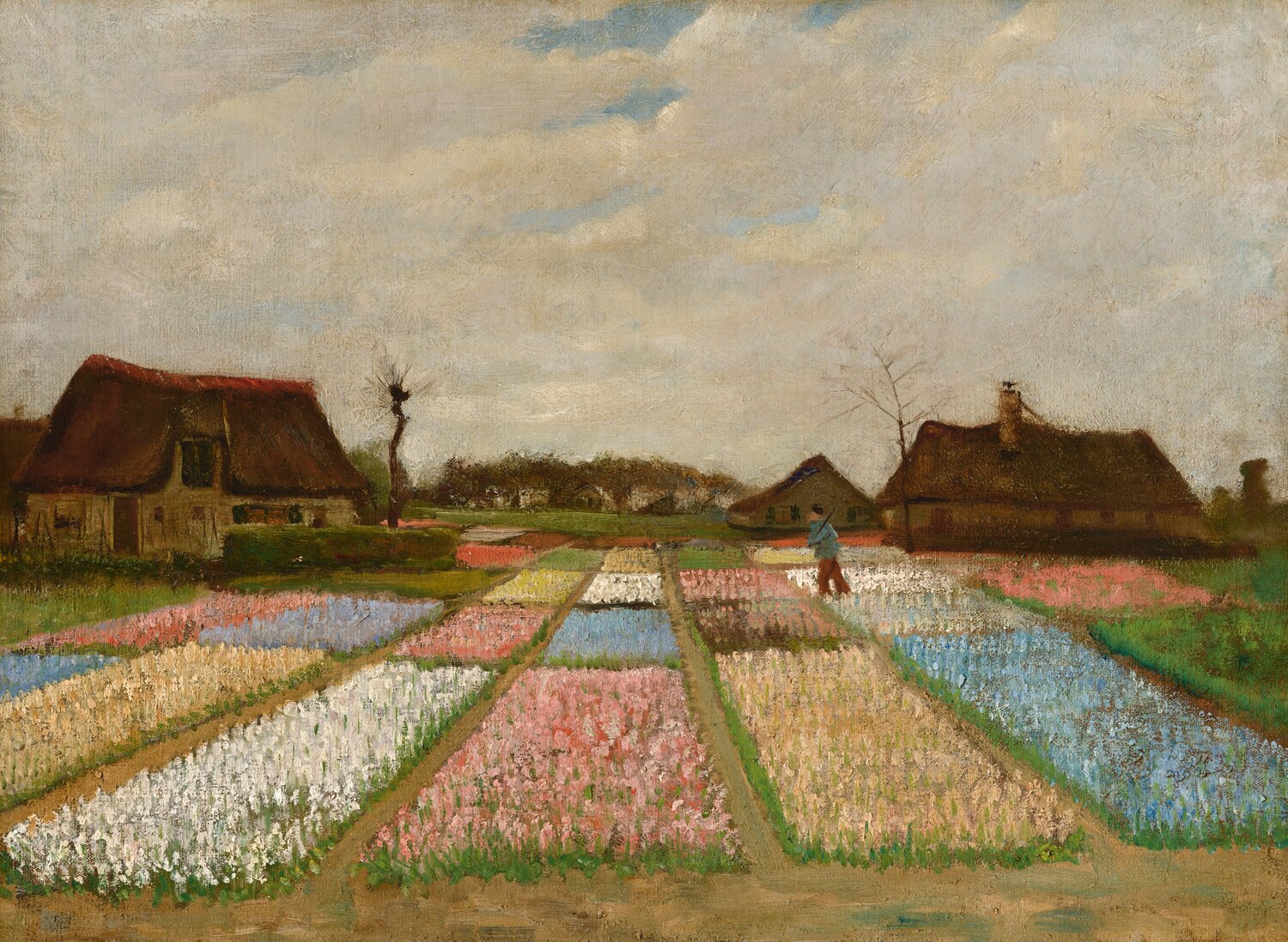 Flower Beds in Holland - view 1 of 2
