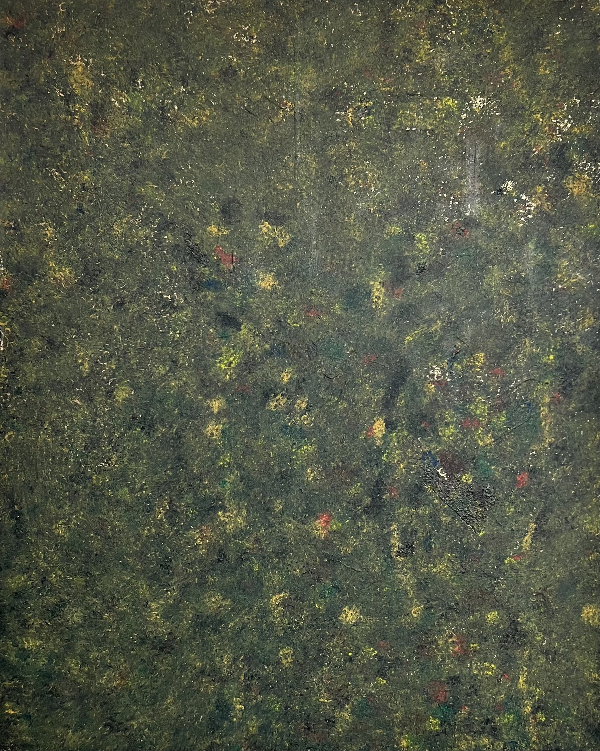 Amazon Canopy - view 1 of 2