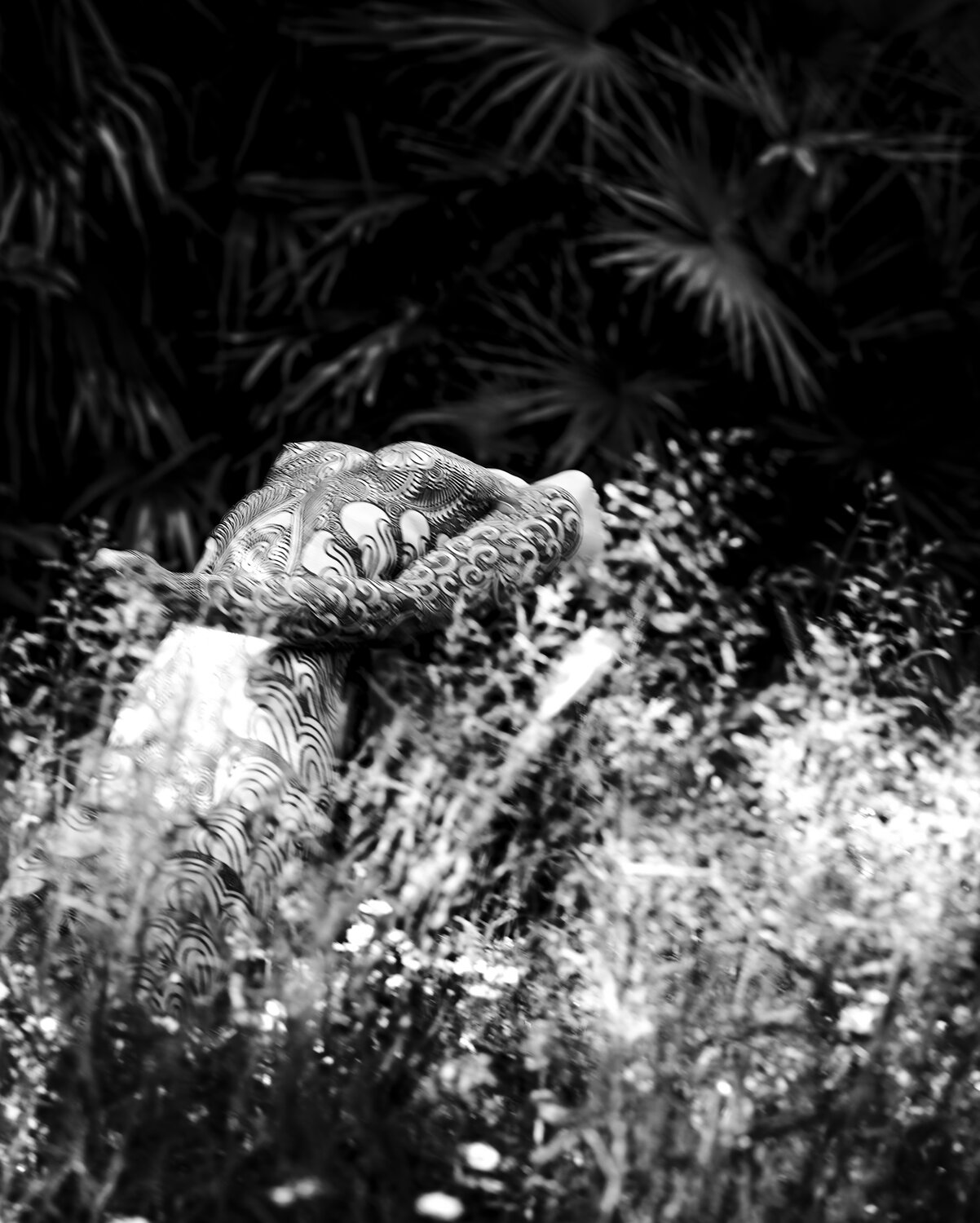La belle dans l'herbe